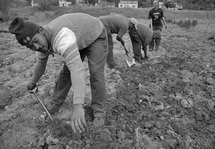 Die vom Fastenopfer unterstützte TCOE , einer Bewegung zur Bildung und Mobilisierung ländlicher Gemeinschaften, setzt sich in Südafrika für ehemalige Landarbeiter ein. (Foto: FO/Patricio Frei)