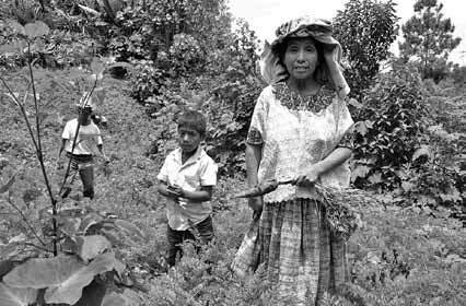 Eulalia Catalinia Lopez, 51, ist stolz auf ihren ertragreichen Garten in Repollal, für den sie dank der Unterstützung durch Acdij inzwischen auch einen Landtitel besitzt. (Bild Patricio Frei/FO)