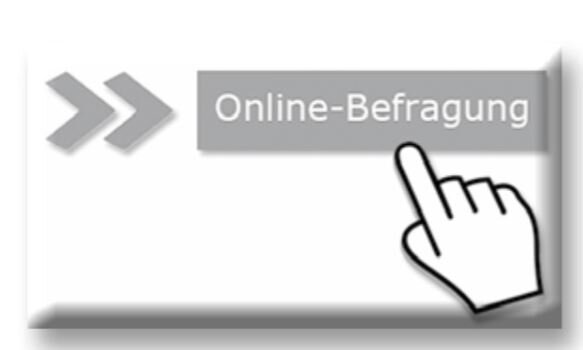 Online-Befragung